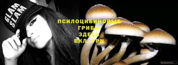 ГАЛЛЮЦИНОГЕННЫЕ ГРИБЫ Лабытнанги