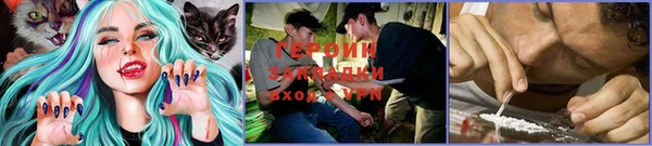 крисы Лагань