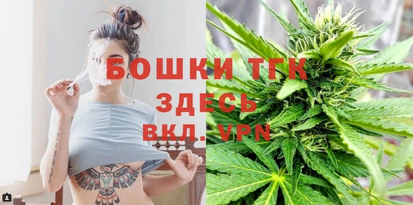 ГАЛЛЮЦИНОГЕННЫЕ ГРИБЫ Лабытнанги