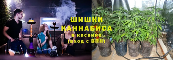крисы Лагань