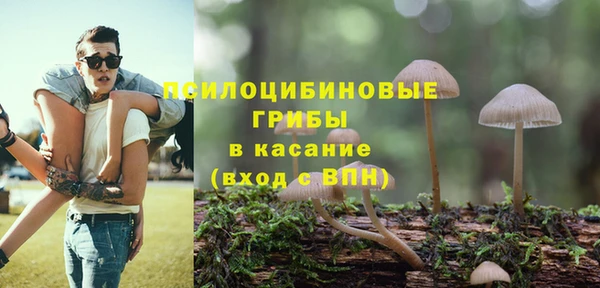 эйфоретик Архангельск