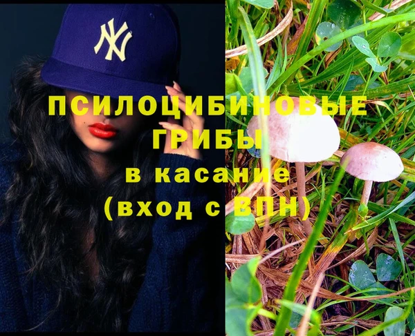 крисы Лагань