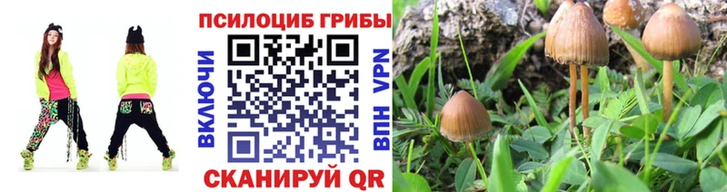 купить  сайты  MEGA рабочий сайт  Псилоцибиновые грибы ЛСД  Нижний Новгород 