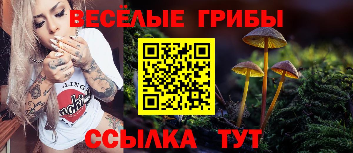Галлюциногенные грибы прущие грибы  Вход с VPN  Нижний Новгород 