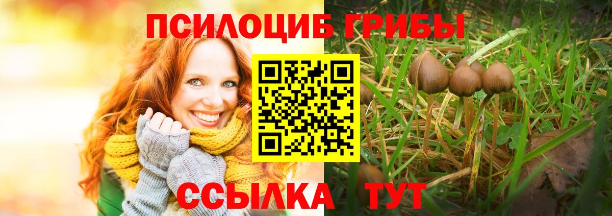 Псилоцибиновые грибы мицелий  Нижний Новгород  Псилоцибиновые грибы Cubensis 