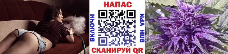 Канабис OG Kush  сайты даркнета как зайти  ссылка на мегу рабочий сайт  Нижний Новгород  купить наркоту 