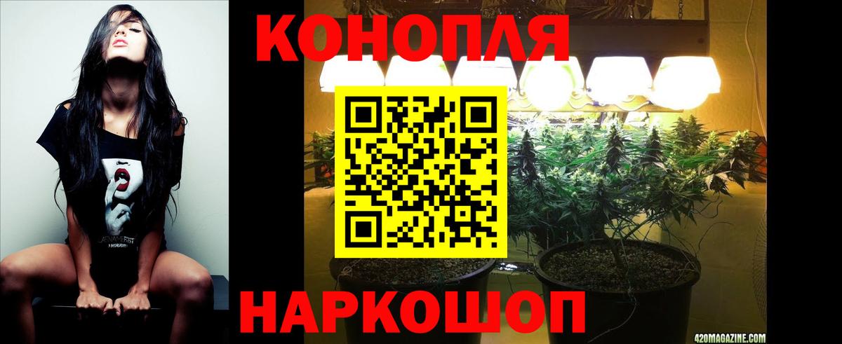 Шишки марихуана OG Kush  Нижний Новгород  Бошки марихуана SATIVA & INDICA 
